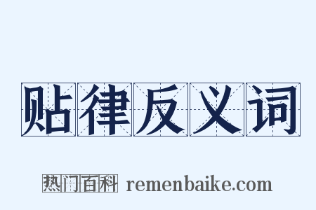 贴律反义词是什么意思的图片